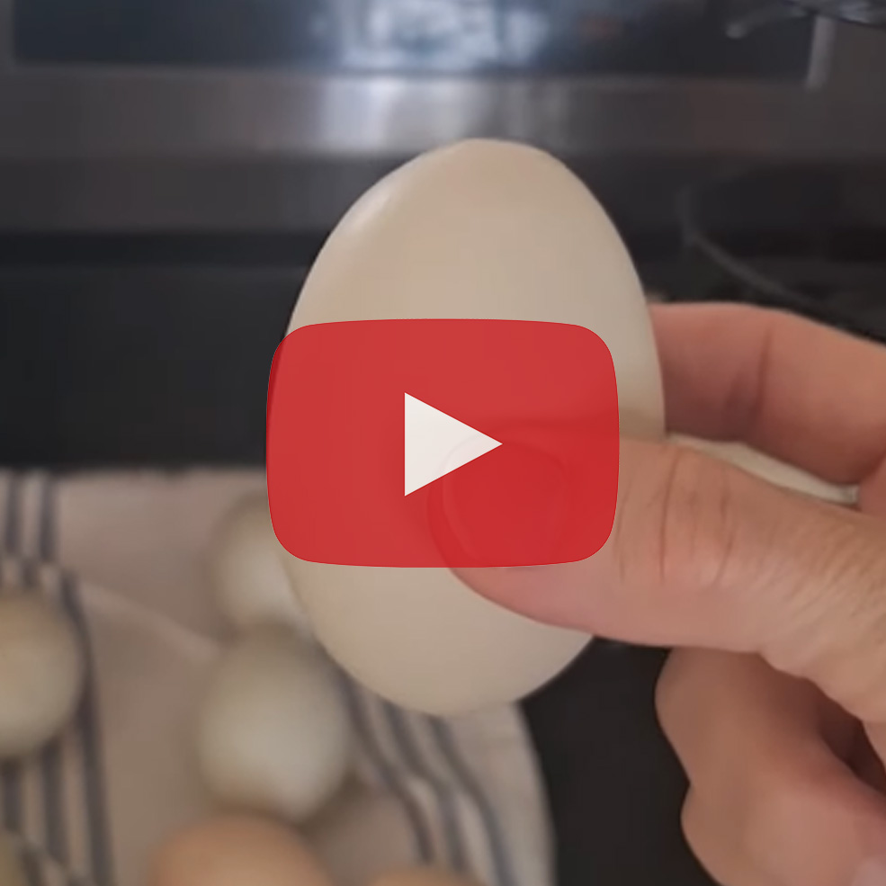 Giant Egg
