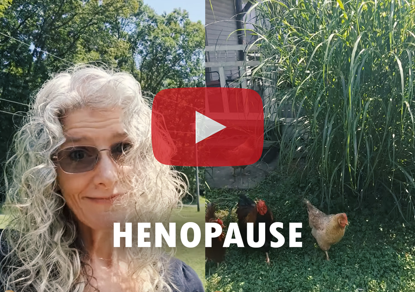 Henopause