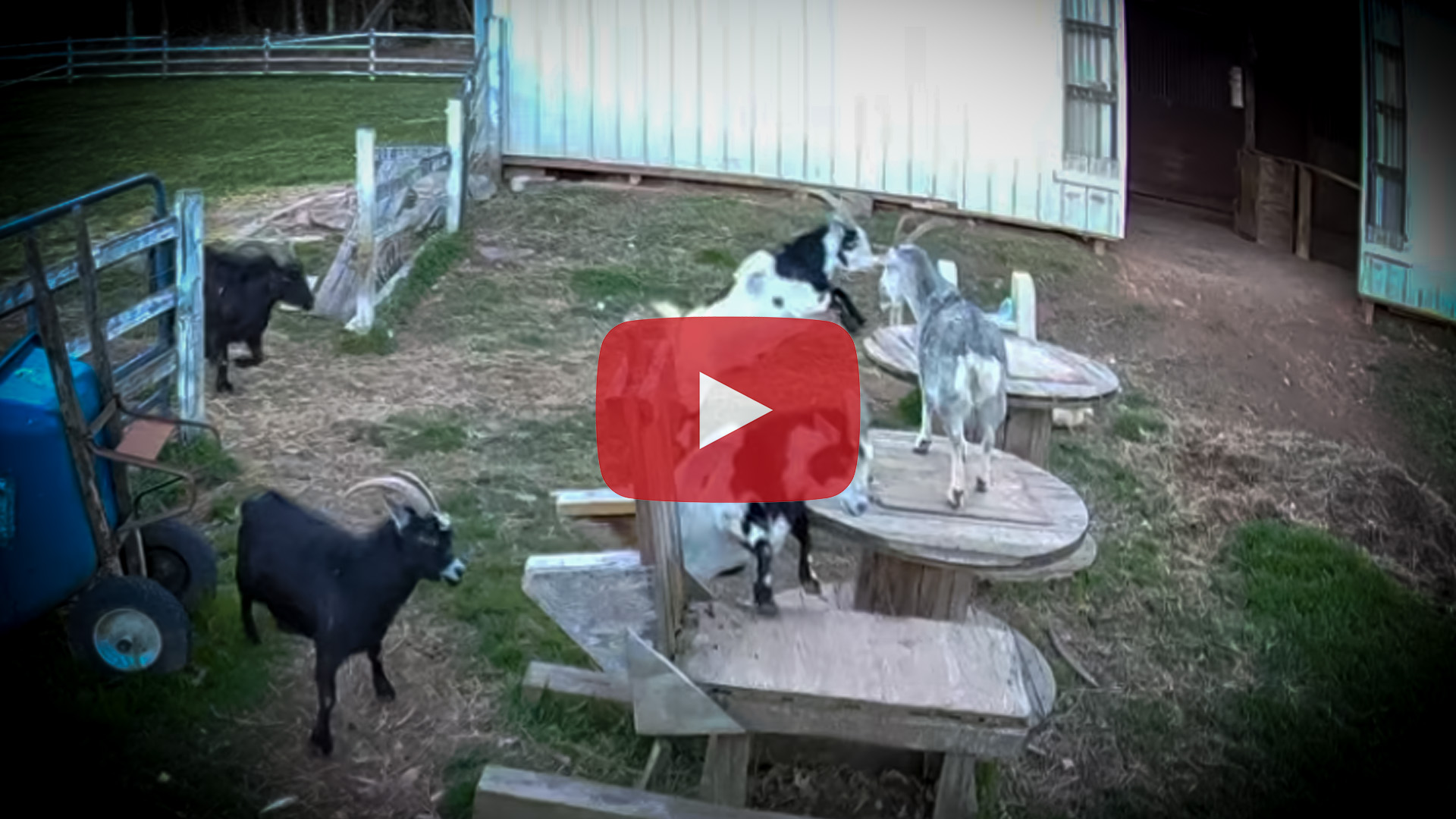 Camera Installation in the Goat Pen