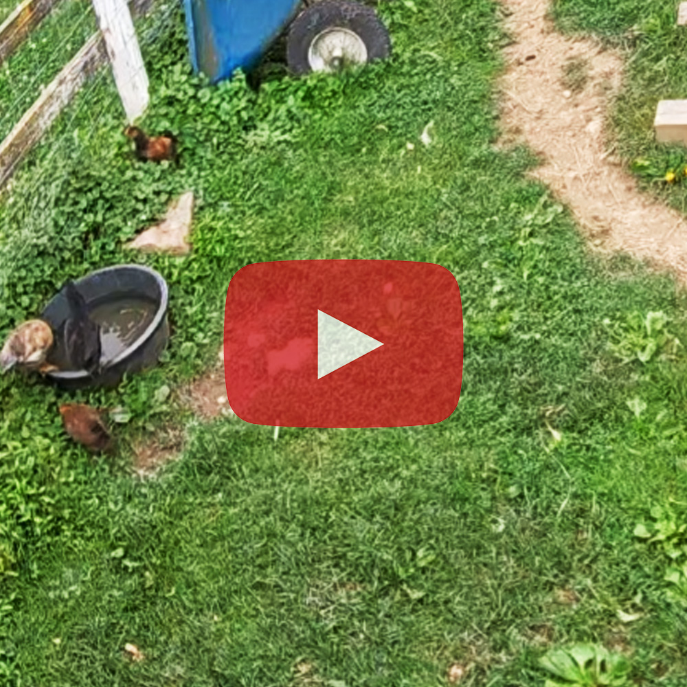 Camera Installation in the Goat Pen